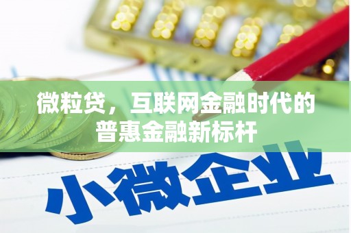 齐齐哈尔微粒贷，互联网金融时代的普惠金融新标杆