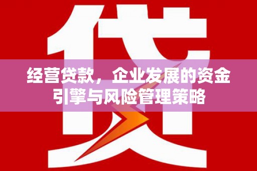 齐齐哈尔经营贷款，企业发展的资金引擎与风险管理策略