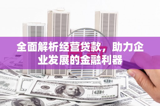 齐齐哈尔全面解析经营贷款，助力企业发展的金融利器
