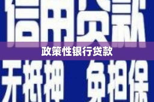 齐齐哈尔政策性银行贷款