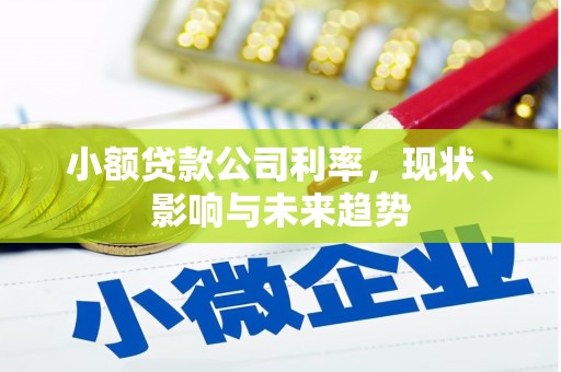 齐齐哈尔小额贷款公司利率，现状、影响与未来趋势