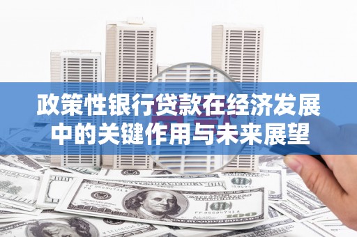 齐齐哈尔政策性银行贷款在经济发展中的关键作用与未来展望
