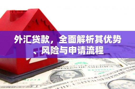 齐齐哈尔外汇贷款，全面解析其优势、风险与申请流程