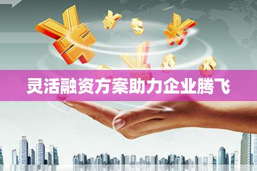 齐齐哈尔灵活融资方案助力企业腾飞