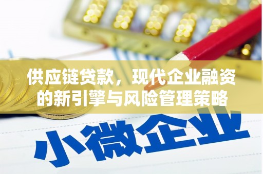 齐齐哈尔供应链贷款，现代企业融资的新引擎与风险管理策略