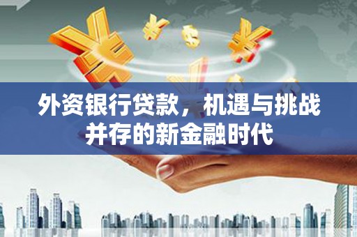 齐齐哈尔外资银行贷款，机遇与挑战并存的新金融时代