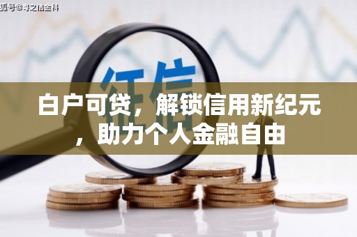 齐齐哈尔白户可贷，解锁信用新纪元，助力个人金融自由