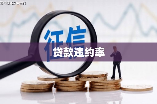 齐齐哈尔贷款违约率
