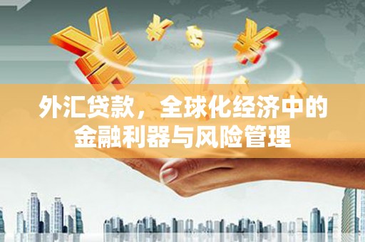 齐齐哈尔外汇贷款，全球化经济中的金融利器与风险管理