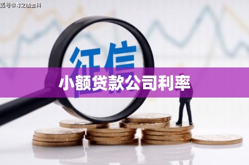 齐齐哈尔小额贷款公司利率