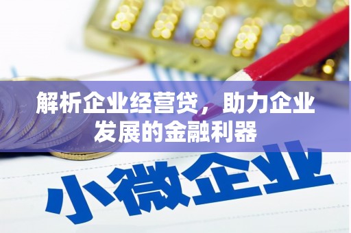 齐齐哈尔解析企业经营贷，助力企业发展的金融利器