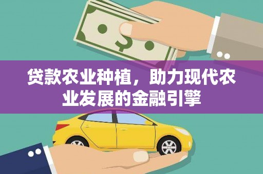 齐齐哈尔贷款农业种植，助力现代农业发展的金融引擎