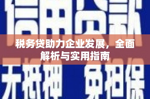 齐齐哈尔税务贷助力企业发展，全面解析与实用指南