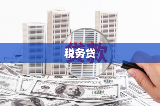 齐齐哈尔税务贷