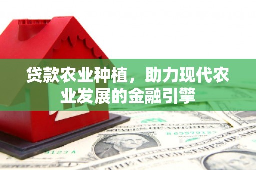 齐齐哈尔贷款农业种植，助力现代农业发展的金融引擎