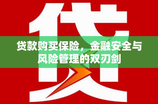 齐齐哈尔贷款购买保险，金融安全与风险管理的双刃剑