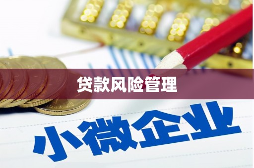 齐齐哈尔贷款风险管理