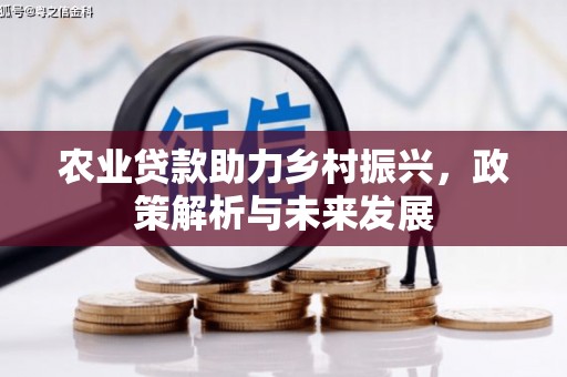 齐齐哈尔农业贷款助力乡村振兴，政策解析与未来发展