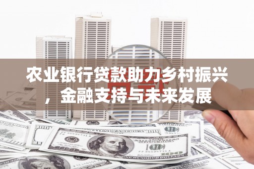 齐齐哈尔农业银行贷款助力乡村振兴，金融支持与未来发展