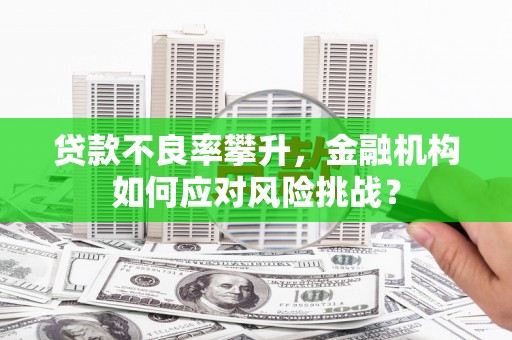 齐齐哈尔贷款不良率攀升，金融机构如何应对风险挑战？