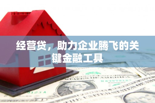 齐齐哈尔经营贷，助力企业腾飞的关键金融工具