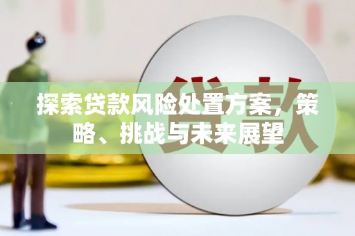 齐齐哈尔探索贷款风险处置方案，策略、挑战与未来展望