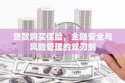 齐齐哈尔贷款购买保险，金融安全与风险管理的双刃剑