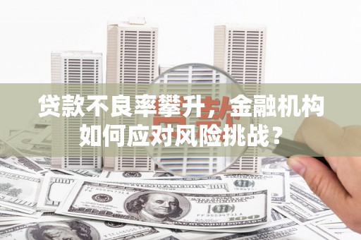 齐齐哈尔贷款不良率攀升，金融机构如何应对风险挑战？