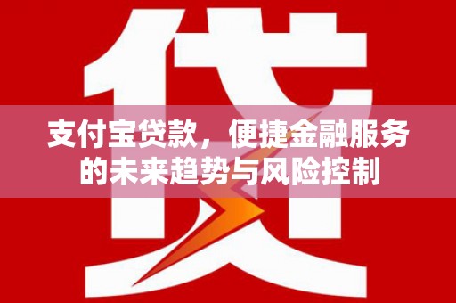 齐齐哈尔支付宝贷款，便捷金融服务的未来趋势与风险控制