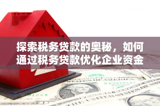 齐齐哈尔探索税务贷款的奥秘，如何通过税务贷款优化企业资金流