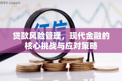 齐齐哈尔贷款风险管理，现代金融的核心挑战与应对策略