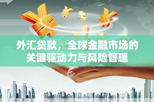 齐齐哈尔外汇贷款，全球金融市场的关键驱动力与风险管理