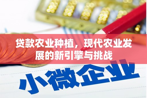 齐齐哈尔贷款农业种植，现代农业发展的新引擎与挑战