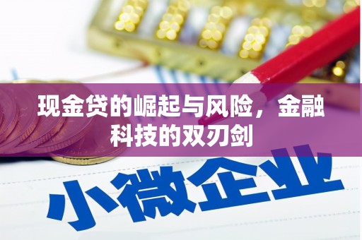 齐齐哈尔现金贷的崛起与风险，金融科技的双刃剑