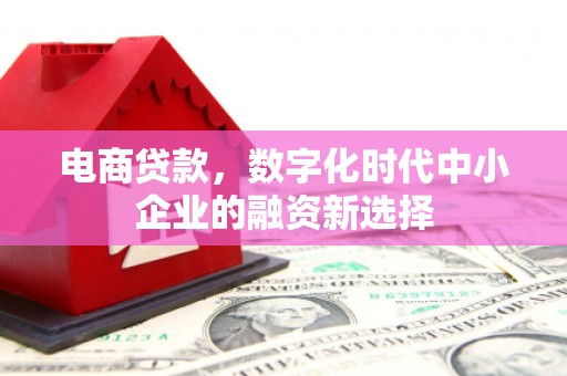 齐齐哈尔电商贷款，数字化时代中小企业的融资新选择