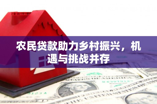 齐齐哈尔农民贷款助力乡村振兴，机遇与挑战并存