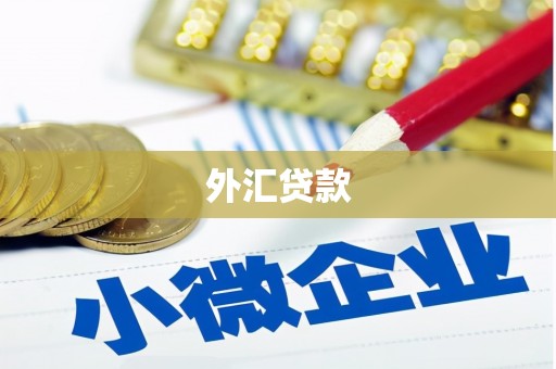 齐齐哈尔外汇贷款