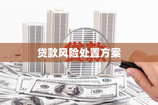 齐齐哈尔贷款风险处置方案