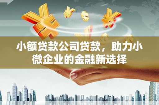 齐齐哈尔小额贷款公司贷款，助力小微企业的金融新选择