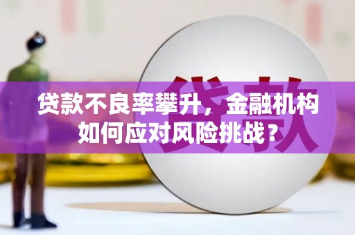 齐齐哈尔贷款不良率攀升，金融机构如何应对风险挑战？