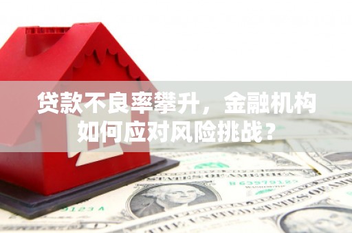 齐齐哈尔贷款不良率攀升，金融机构如何应对风险挑战？