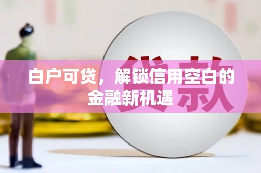 齐齐哈尔白户可贷，解锁信用空白的金融新机遇