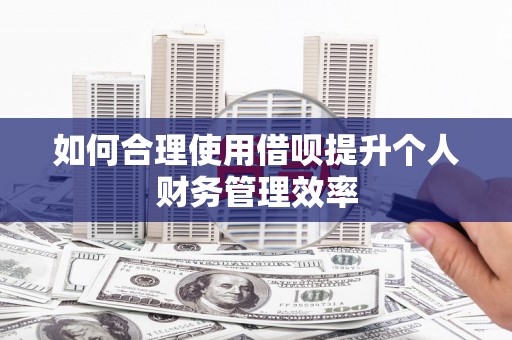 齐齐哈尔如何合理使用借呗提升个人财务管理效率