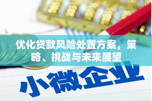齐齐哈尔优化贷款风险处置方案，策略、挑战与未来展望