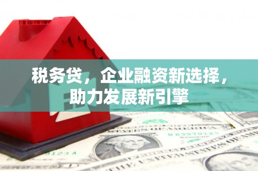 齐齐哈尔税务贷，企业融资新选择，助力发展新引擎