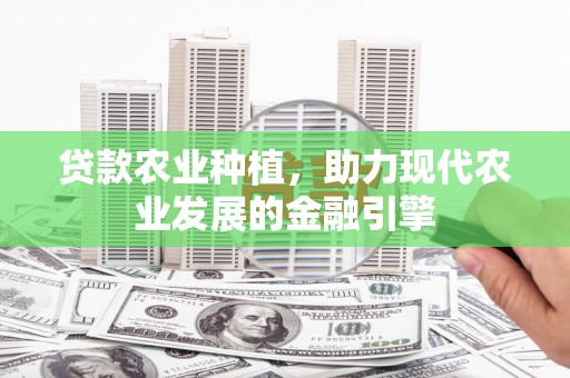 齐齐哈尔贷款农业种植，助力现代农业发展的金融引擎