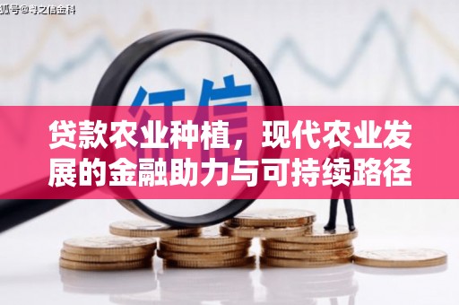 齐齐哈尔贷款农业种植，现代农业发展的金融助力与可持续路径