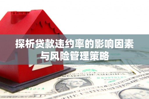 齐齐哈尔探析贷款违约率的影响因素与风险管理策略