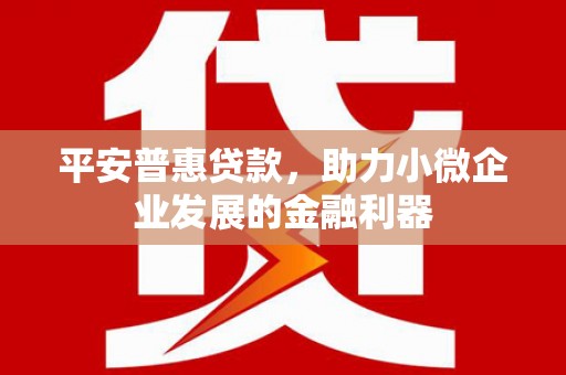 齐齐哈尔平安普惠贷款，助力小微企业发展的金融利器