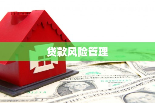 齐齐哈尔贷款风险管理
